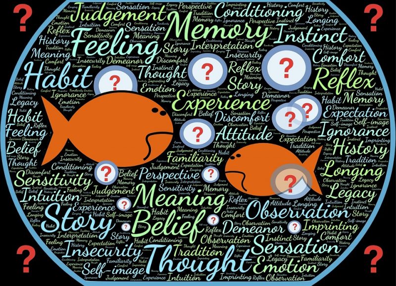 Fishbowl discussion IDM Toolbox